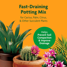 Miracle-Gro soil blend close-up showing fast-draining texture ideal for cacti.