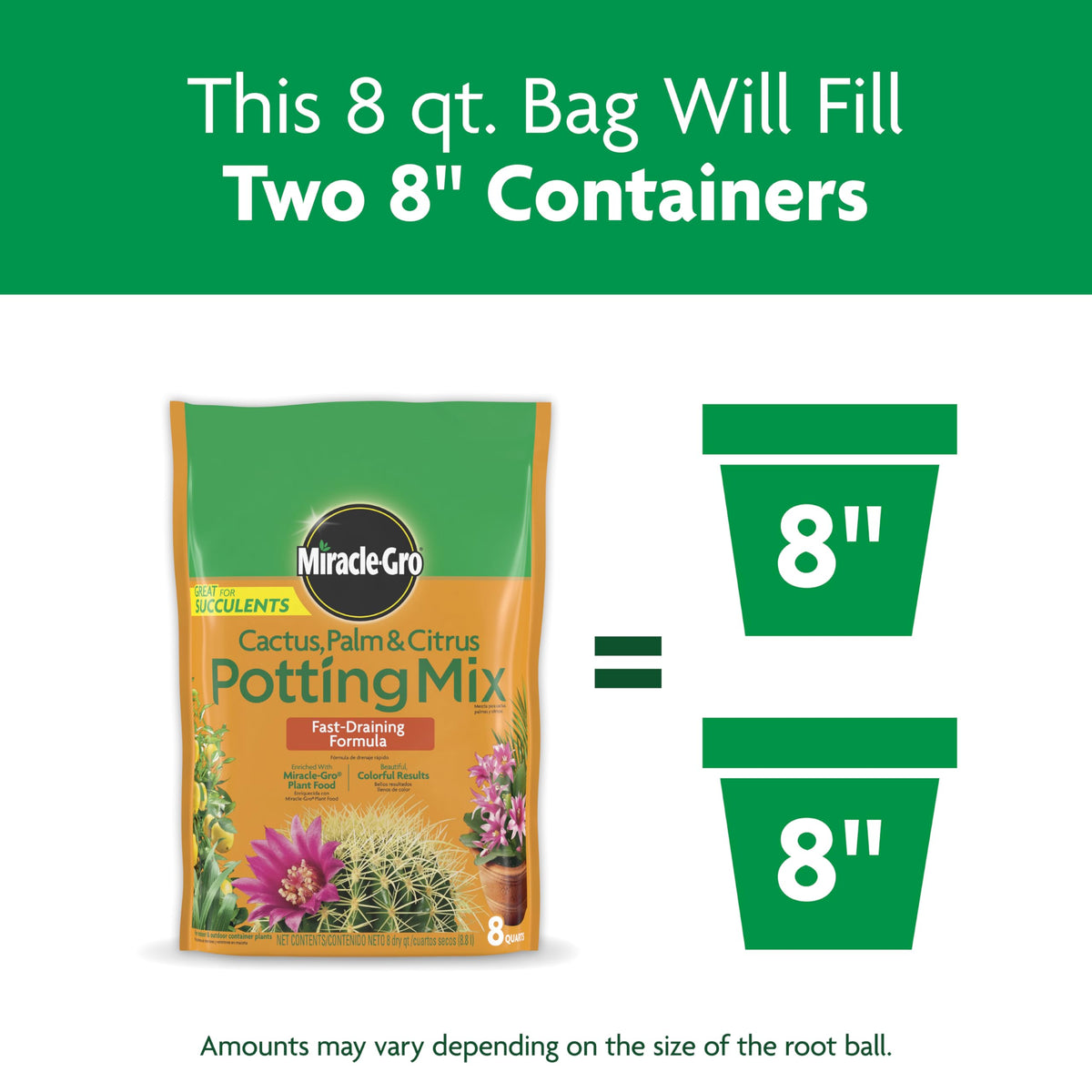 Succulent application using the mix for thriving, well-drained roots.