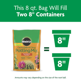 Succulent application using the mix for thriving, well-drained roots.