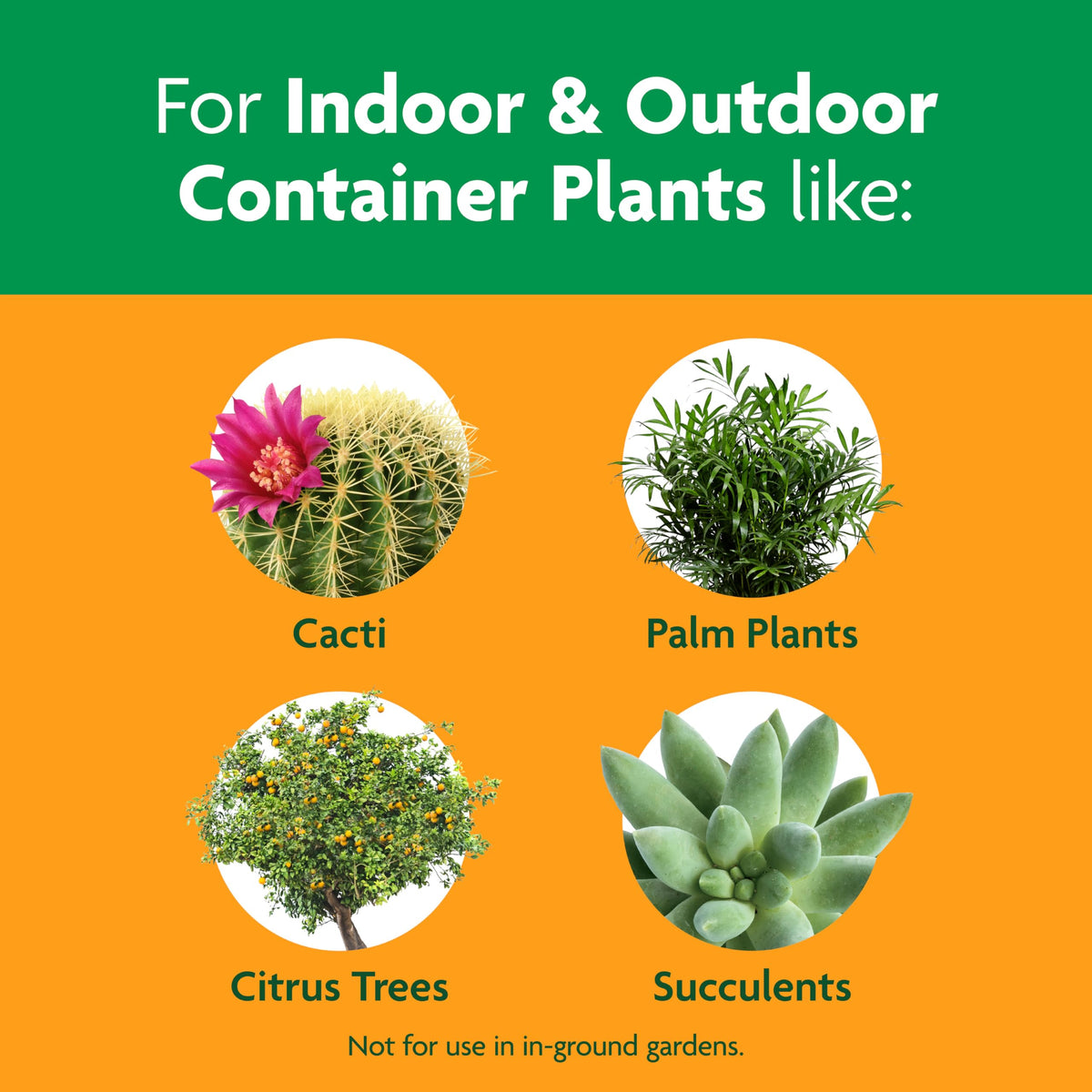 Wide container setup using Miracle-Gro mix for vibrant indoor plant displays.