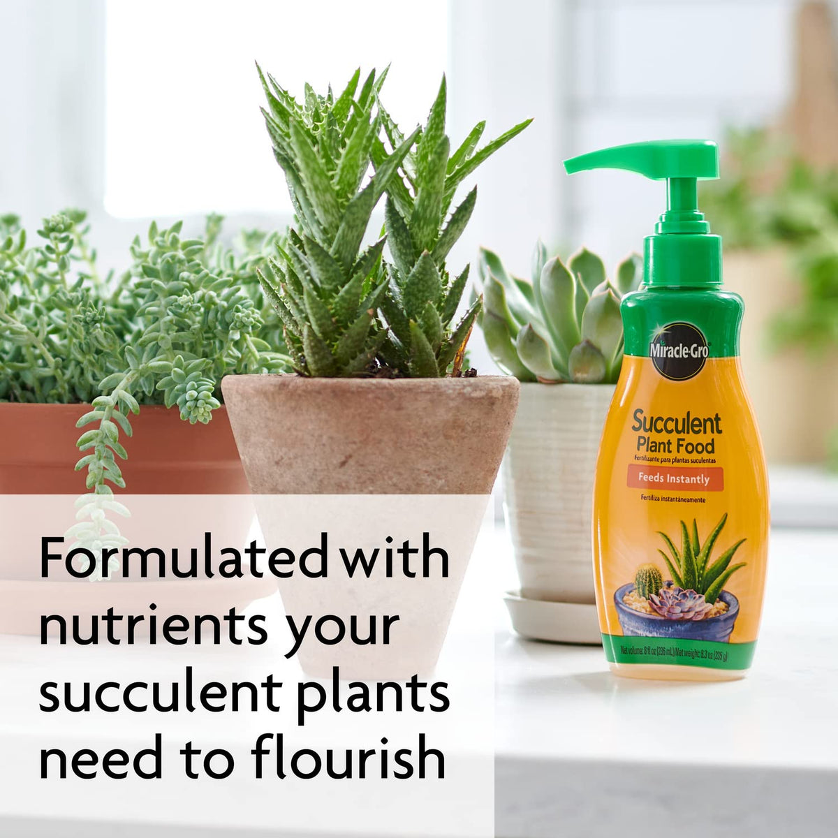 Miracle-Gro Cactus and Succulent Potting Mix bag beside feeding bottle.