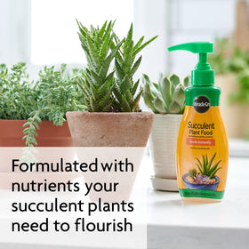 Miracle-Gro Cactus and Succulent Potting Mix bag beside feeding bottle.