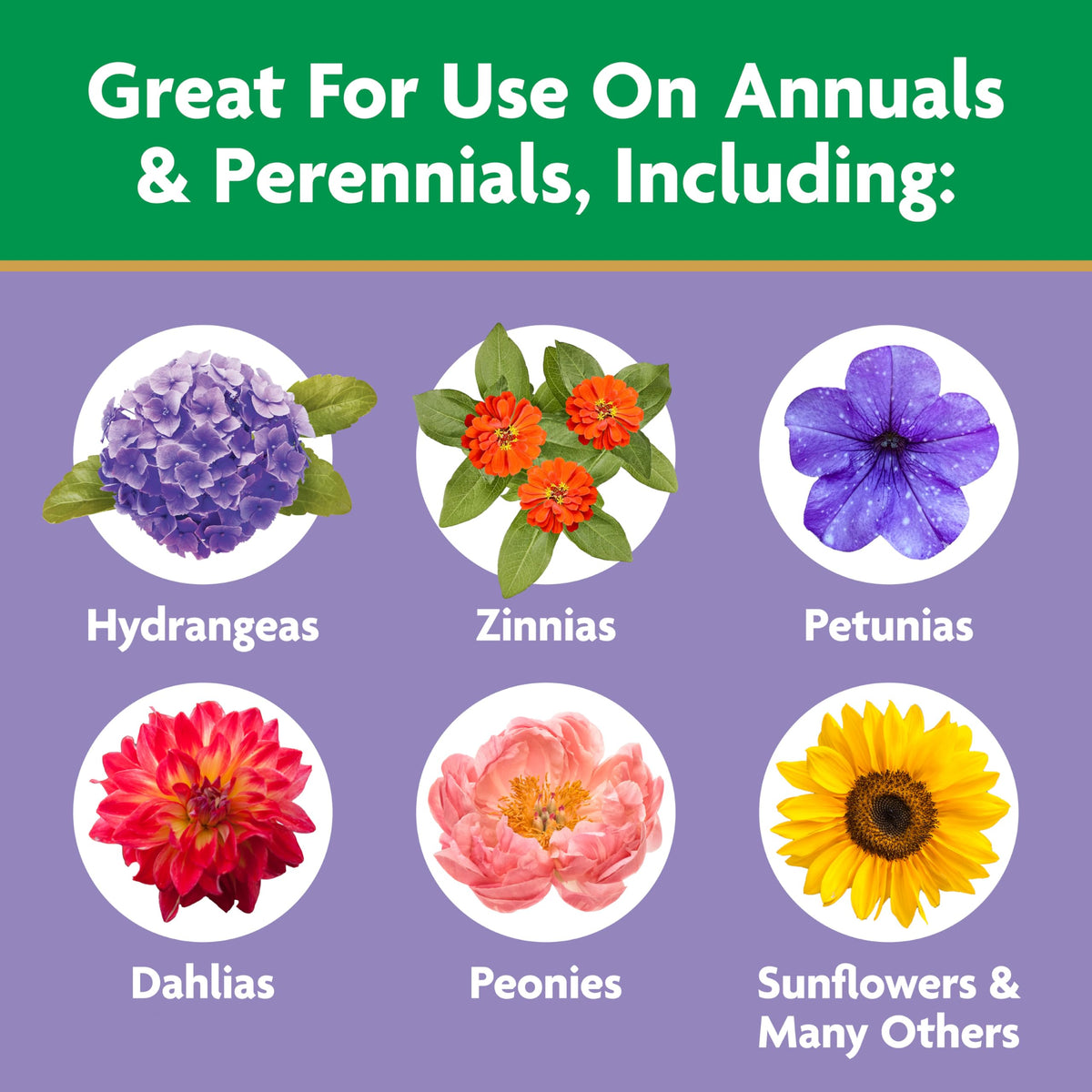 Miracle-Gro Container flowers boost: vibrant color in pots and baskets.