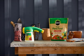 Miracle-Gro feeds up to 1,200 sq ft garden efficiently.