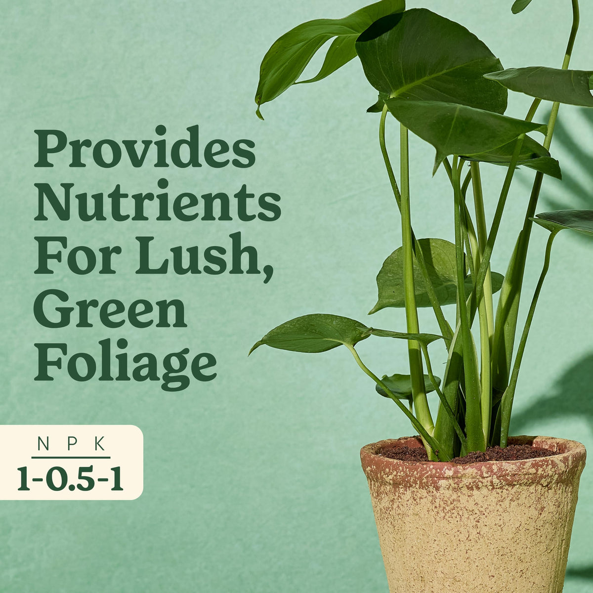 Dosing pump illustration for simple application of tropical plant food.