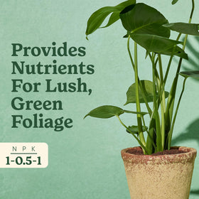 Dosing pump illustration for simple application of tropical plant food.
