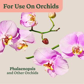 Indoor epiphyte orchid care with Miracle-Gro products in a home setting.