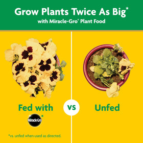 Feeding outdoor plants in containers and beds with Miracle-Gro feeder.