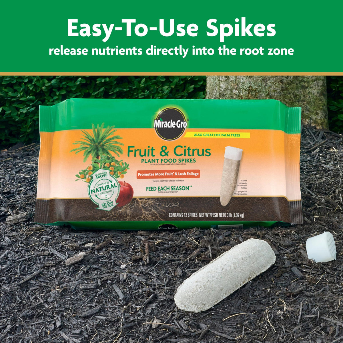 Miracle-Gro Fruit & Citrus spikes feeding an apple tree to boost fruit production.