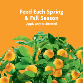 Miracle-Gro Fruit & Citrus spikes shown with a label chart for quantity planning.