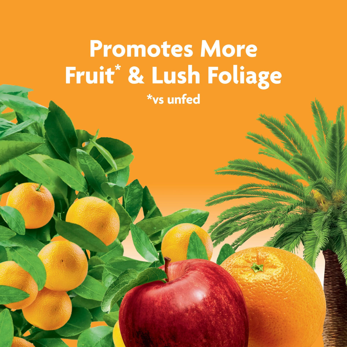 Miracle-Gro palm trees benefit from spikes delivering balanced nutrients.