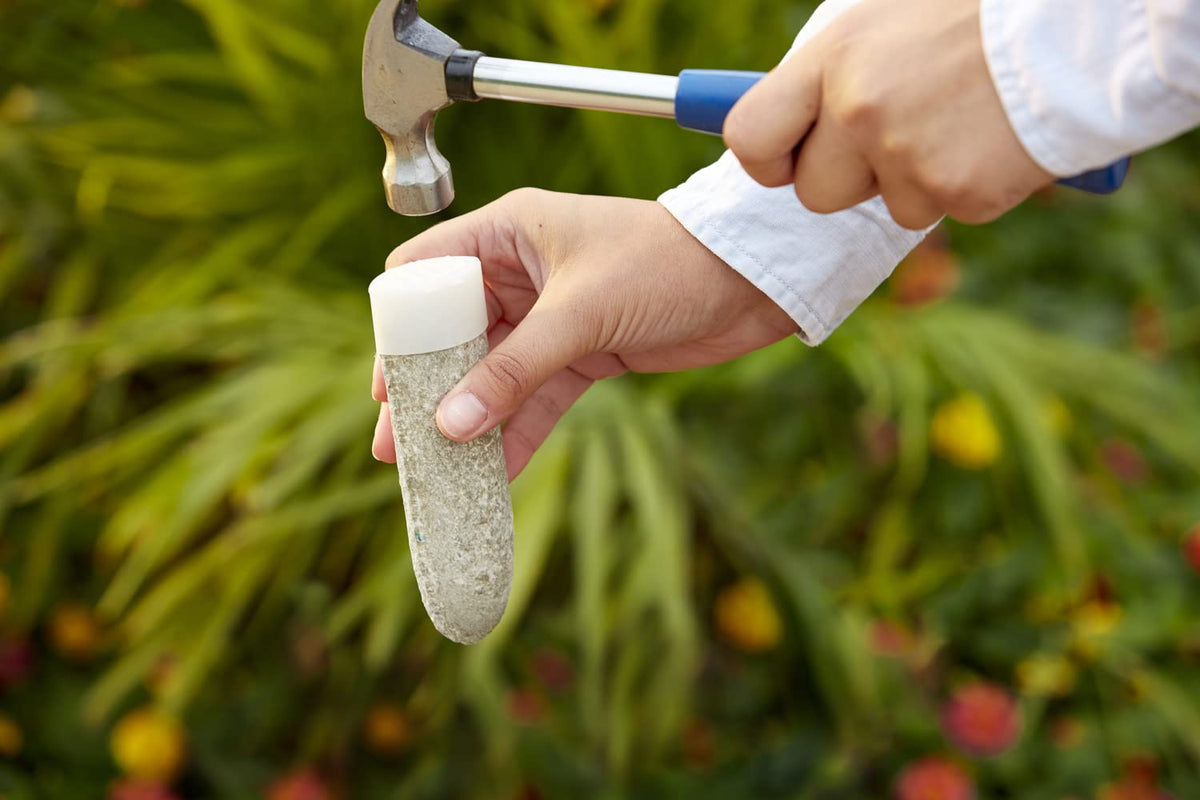 Miracle-Gro Fruit & Citrus Spikes tree-feeding concept demonstrates seasonal nutrient timing