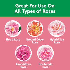 Miracle-Gro Garden Feeder in use feeding a rose cluster