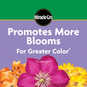 Miracle-Gro Garden Feeder: easy apply with a watering system.