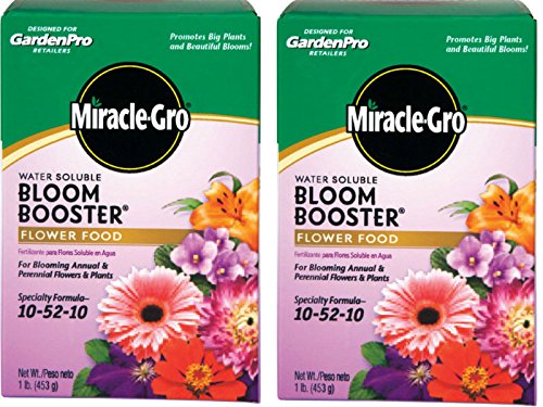 Miracle-Gro Garden Pro bloom-booster for lush blooms and healthy growth.