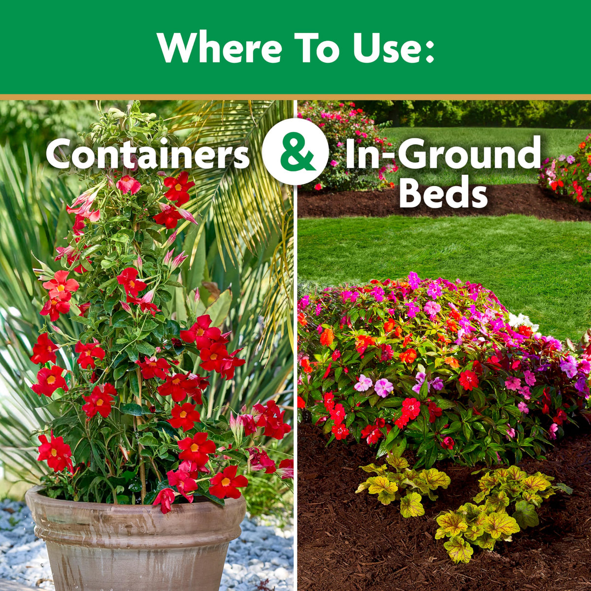 Miracle-Gro Hanging baskets blooms: lush color with regular feeding.