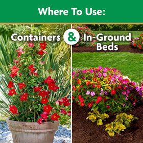Miracle-Gro Hanging baskets blooms: lush color with regular feeding.