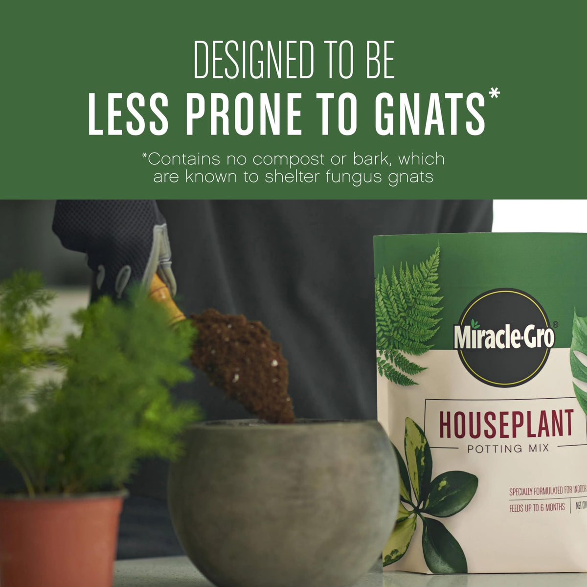 Miracle-Gro soil blend reduces gnats by avoiding bark and compost