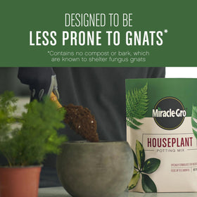 Miracle-Gro soil blend reduces gnats by avoiding bark and compost
