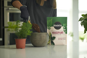 Miracle-Gro Houseplant Potting Mix in an 8-inch pot ready for healthy growth
