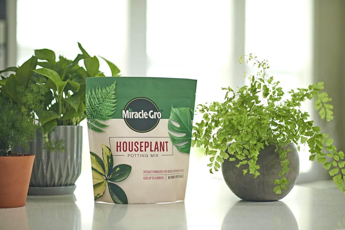 Miracle-Gro Houseplant Potting Mix close-up showing textured perlite-rich soil for drainage