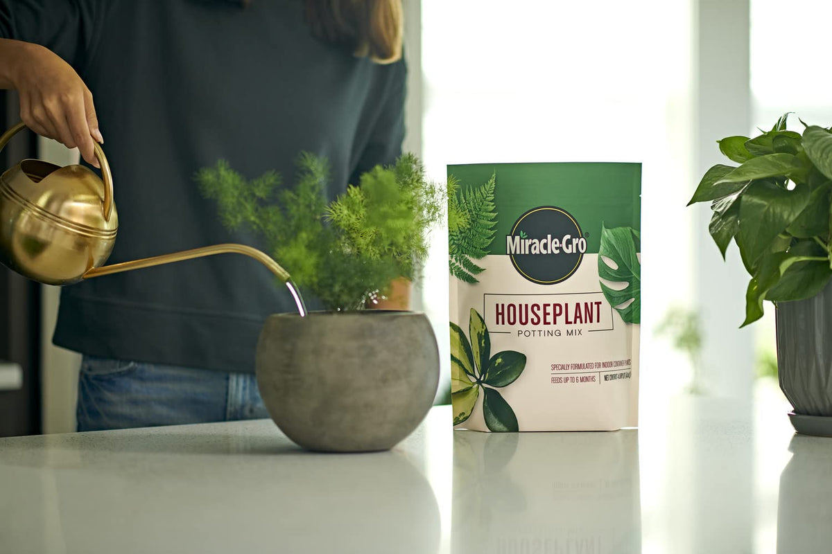 Miracle-Gro Houseplant Potting Mix in a bright indoor garden setup for thriving plants
