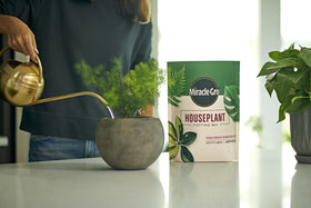Miracle-Gro Houseplant Potting Mix in a bright indoor garden setup for thriving plants