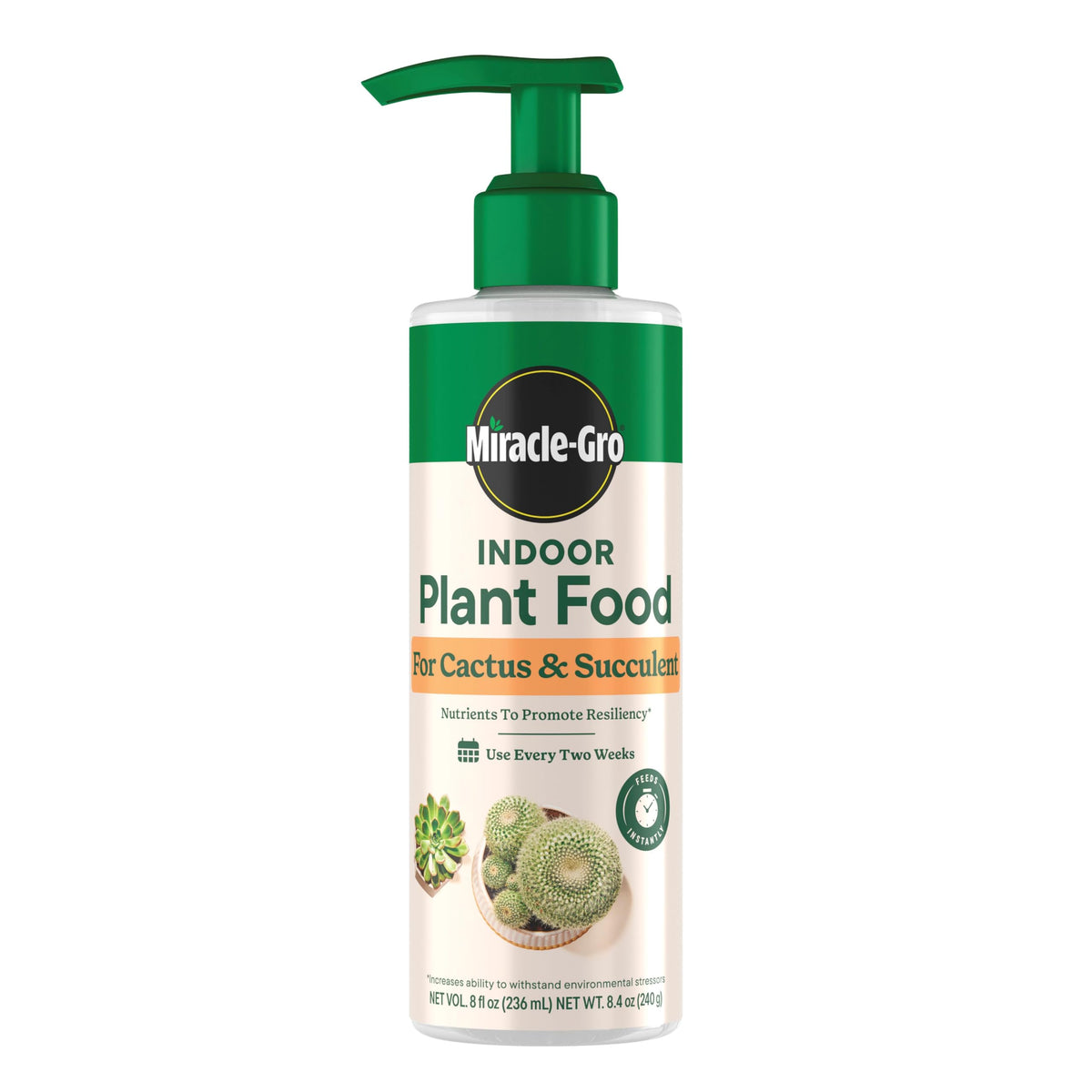 Indoor desert plants scene benefiting from Miracle-Gro cactus and succulent bundle