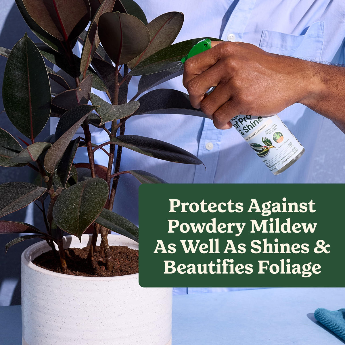 Miracle-Gro indoor garden setup idea showing simple home care.