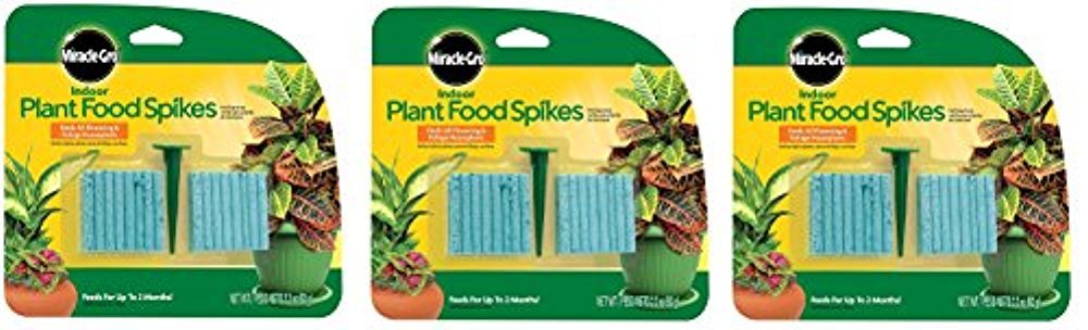 Miracle-Gro indoor plant food spikes for easy, continuous feeding of houseplants.
