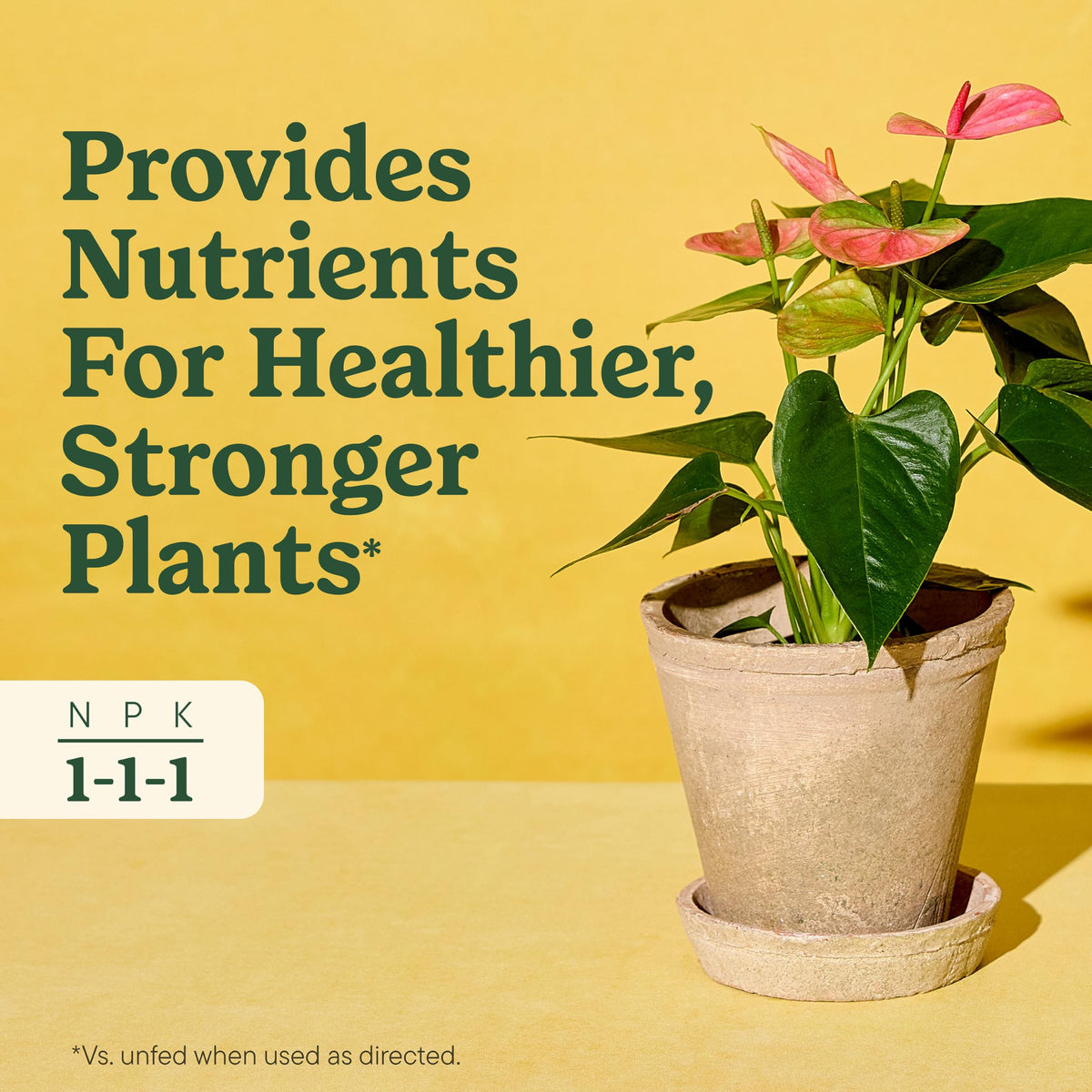Miracle-Gro Indoor Plant Food bottle beside thriving plants for all-in-one care.