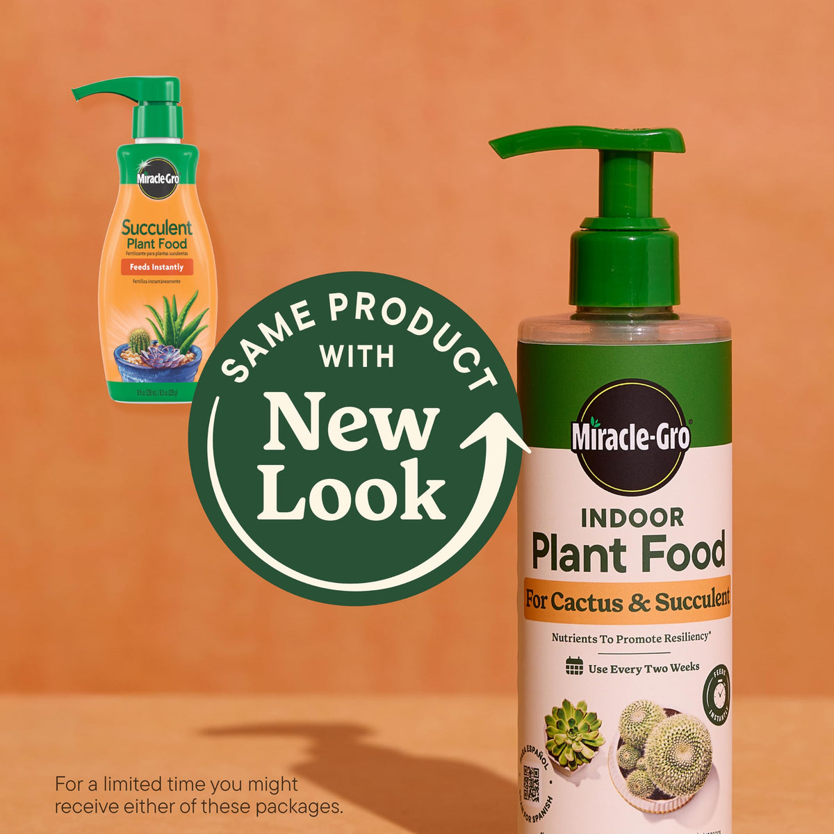 Miracle-Gro Indoor Plant Food bottle for cactus and succulents supports growth