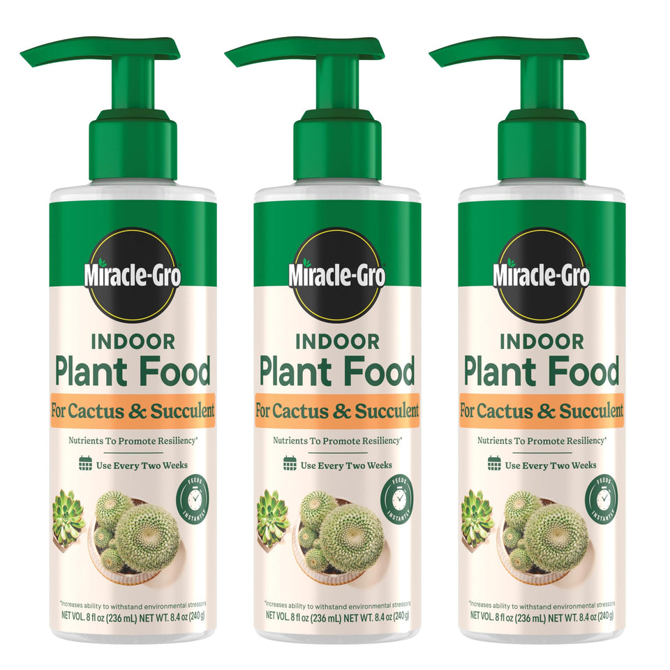 Miracle-Gro Indoor Plant Food bottle for cactus and succulent boosts resiliency.