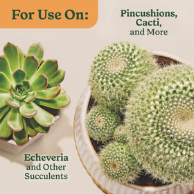 Miracle-Gro Indoor Plant Food two-pack presented as a ready-to-use kit.