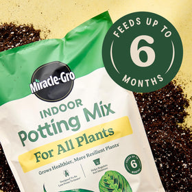 Miracle-Gro Plant Food bottle with cap for easy dosing on indoor plants.