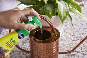 Miracle-Gro Indoor Plant Food promotes healthy green leaves on indoor plants.