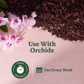 Orchid leaves receive nourishment from Miracle-Gro mist