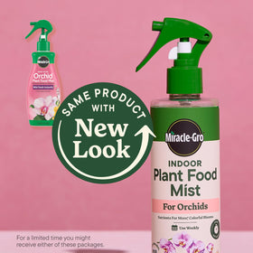 Miracle-Gro spray action delivering nutrients to orchid leaves