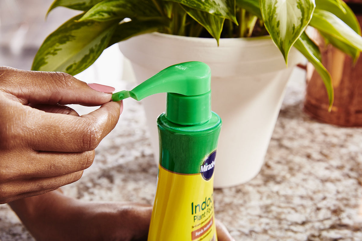 Miracle-Gro Indoor Plant Food being mixed with water for versatile application.