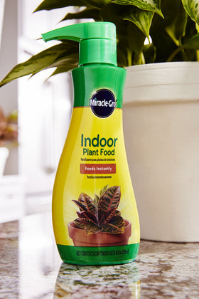 Miracle-Gro Indoor Plant Food being poured onto soil for quick nutrient boost.