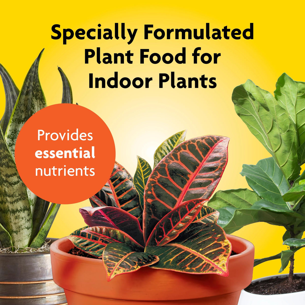 Miracle-Gro Indoor Plant Food pump dispenses precise feeding for pots.