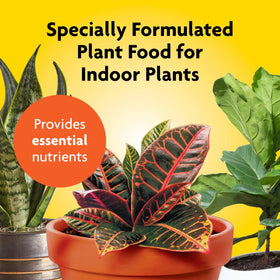 Miracle-Gro Indoor Plant Food pump dispenses precise feeding for pots.
