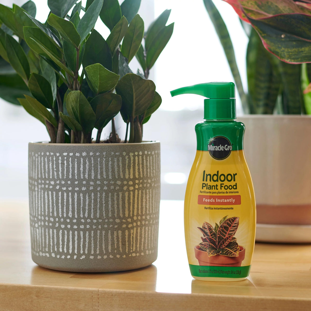 Miracle-Gro Indoor Plant Food applied to pots for quick nourishment.