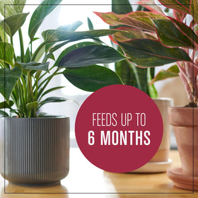 Miracle-Gro indoor potting soil ready for potting new plants