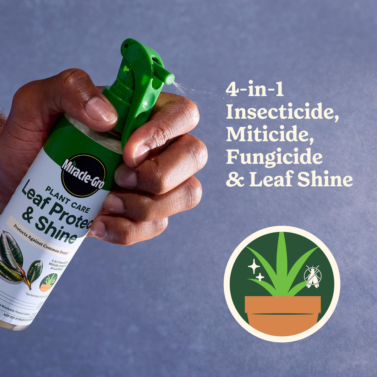 Miracle-Gro indoor plants with vibrant foliage after using bundle.