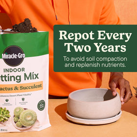 8 qt Miracle-Gro Indoor Potting Mix bag for indoor cactus and succulents