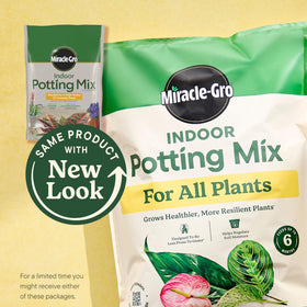 Miracle-Gro Indoor Potting Mix closeup highlights soil texture for roots.
