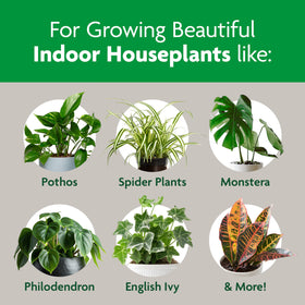 Miracle-Gro Indoor Potting Mix gnat-resistant formula helps reduce indoor soil pests.