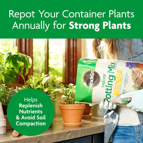 Miracle-Gro Indoor Potting Mix packaging may vary across shipments.