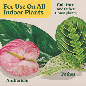 Pairs well with Miracle-Gro Indoor Potting Mix for all plants.